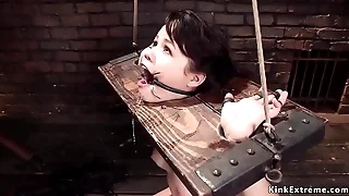 1275 fucking porn videos